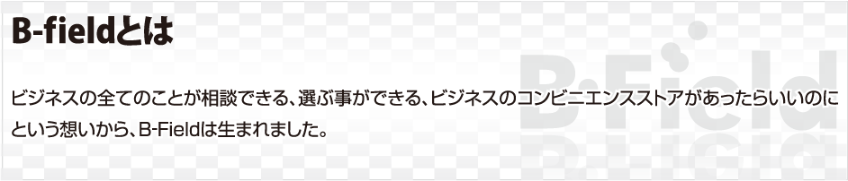 B-fieldとは